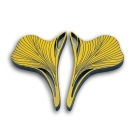 Kõrvarõngad Naya 3,8cm kollane